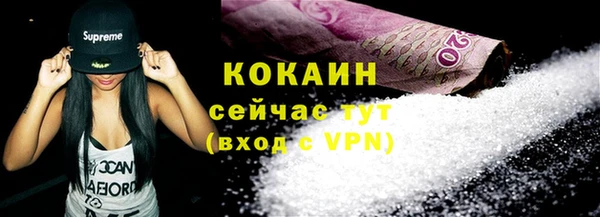 стафф Осташков