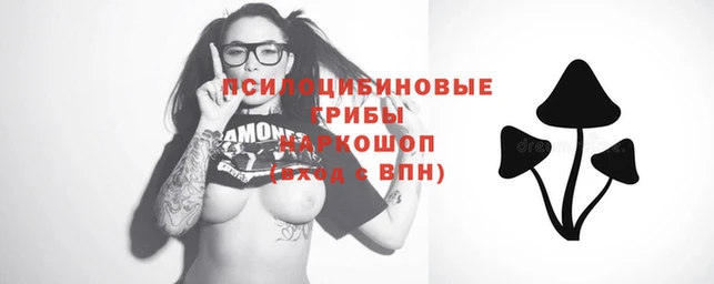 стафф Осташков