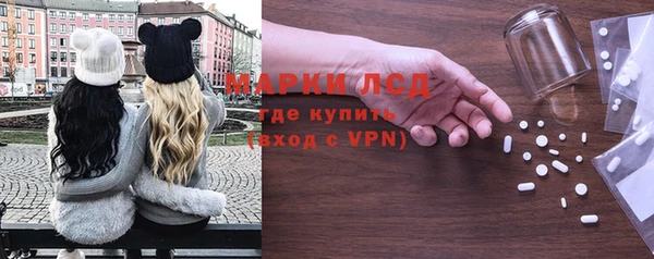 стафф Осташков