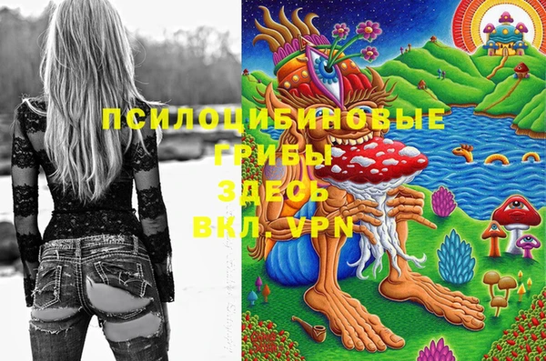 jwh Осинники