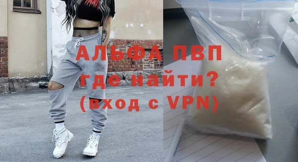 стафф Осташков