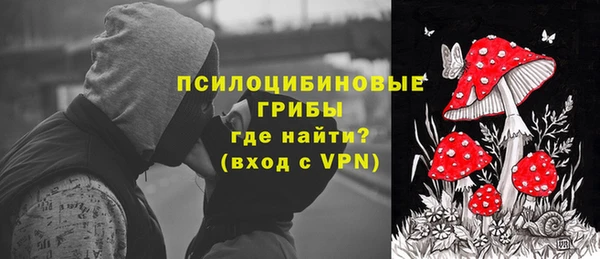 стафф Осташков