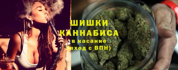стафф Осташков
