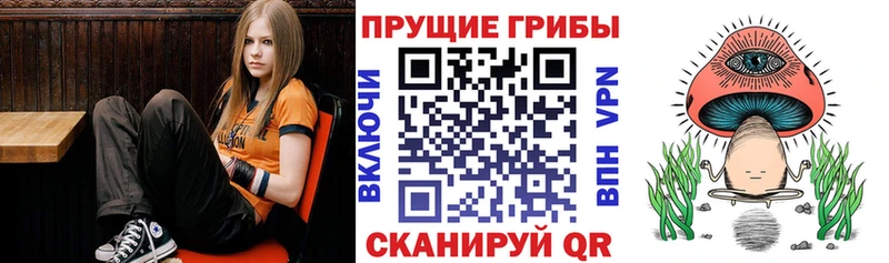 Псилоцибиновые грибы GOLDEN TEACHER  Северск 
