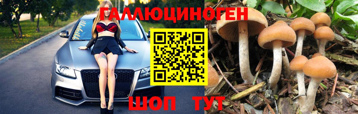 Псилоцибиновые грибы мухоморы Северск