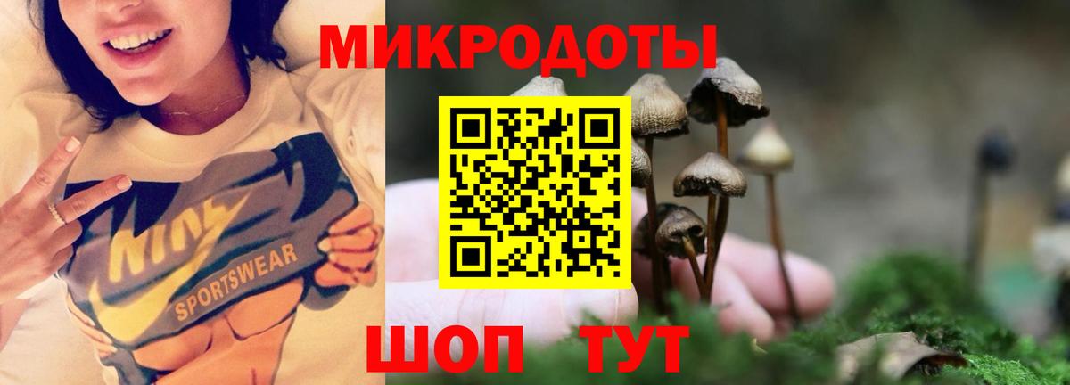 Псилоцибиновые грибы прущие грибы  купить наркотик  Северск  Вход с VPN 