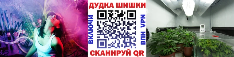 блэк спрут tor  где найти наркотики  Северск  маркетплейс состав  Бошки Шишки White Widow 